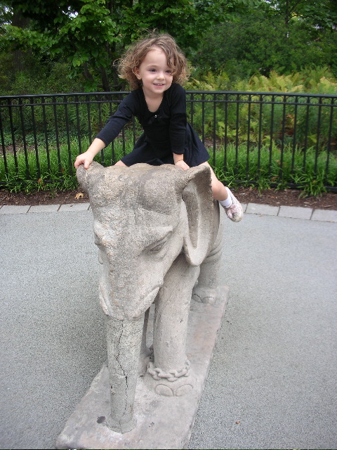 Riding the elephant.